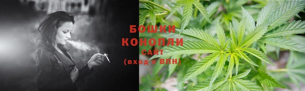 индика Усмань