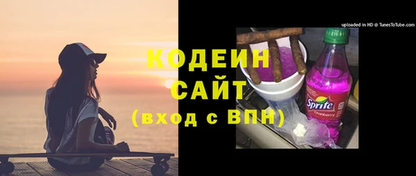 индика Усмань